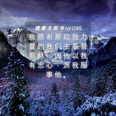Picture 04 - 提 摩 太 前 书 1:12 CUVS - 我 感 谢 那 给 我 力 量 的 我 们 主 - Bible Verse Picture