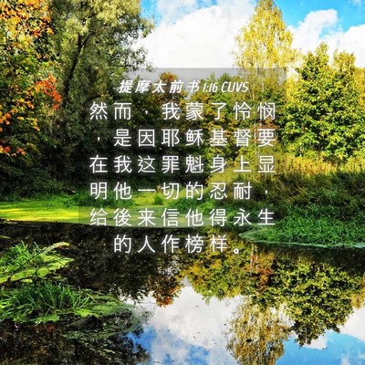 Picture 04 - 提 摩 太 前 书 1:16 CUVS - 然 而 ， 我 蒙 了 怜 悯 ， 是 因 耶 - Bible Verse Picture