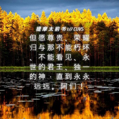 Picture 04 - 提 摩 太 前 书 1:17 CUVS - 但 愿 尊 贵 、 荣 耀 归 与 那 不 能 - Bible Verse Picture