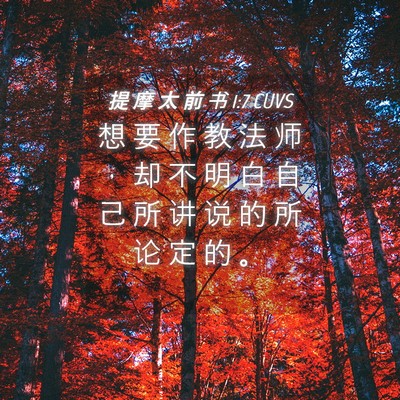 Picture 04 - 提 摩 太 前 书 1:7 CUVS - 想 要 作 教 法 师 ， 却 不 明 白 自 - Bible Verse Picture