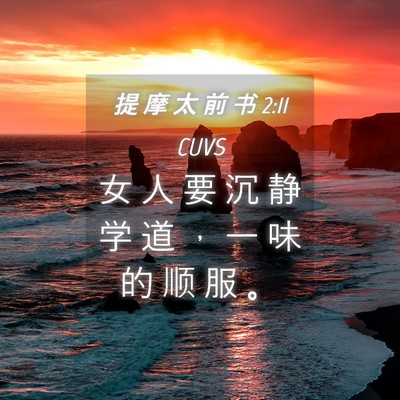 Picture 04 - 提 摩 太 前 书 2:11 CUVS - 女 人 要 沉 静 学 道 ， 一 味 的 顺 - Bible Verse Picture