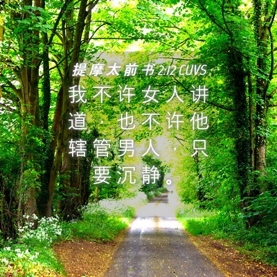Picture 04 - 提 摩 太 前 书 2:12 CUVS - 我 不 许 女 人 讲 道 ， 也 不 许 他 - Bible Verse Picture