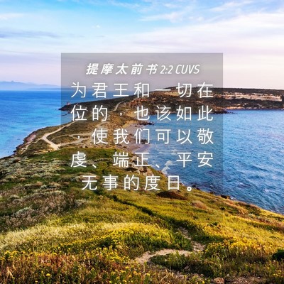Picture 04 - 提 摩 太 前 书 2:2 CUVS - 为 君 王 和 一 切 在 位 的 ， 也 该 - Bible Verse Picture