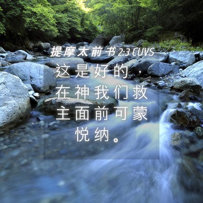 Picture 04 - 提 摩 太 前 书 2:3 CUVS - 这 是 好 的 ， 在 神 我 们 救 主 面 - Bible Verse Picture