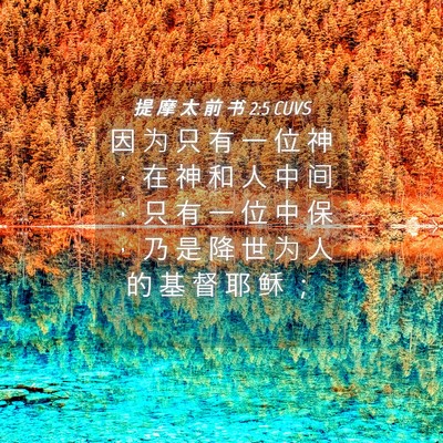 Picture 04 - 提 摩 太 前 书 2:5 CUVS - 因 为 只 有 一 位 神 ， 在 神 和 人 - Bible Verse Picture