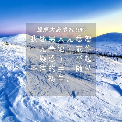 Picture 04 - 提 摩 太 前 书 2:8 CUVS - 我 愿 男 人 无 忿 怒 ， 无 争 论 （ - Bible Verse Picture