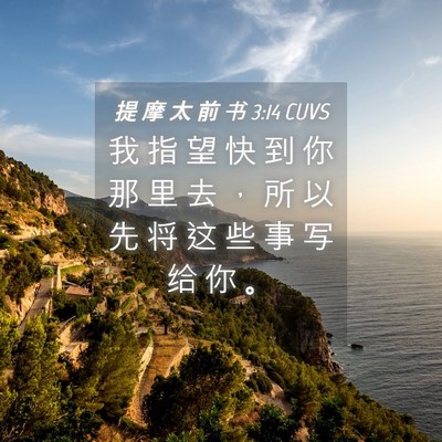 Picture 04 - 提 摩 太 前 书 3:14 CUVS - 我 指 望 快 到 你 那 里 去 ， 所 以 - Bible Verse Picture