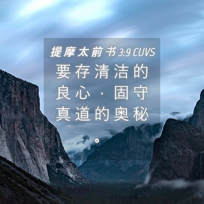 Picture 04 - 提 摩 太 前 书 3:9 CUVS - 要 存 清 洁 的 良 心 ， 固 守 真 道 - Bible Verse Picture
