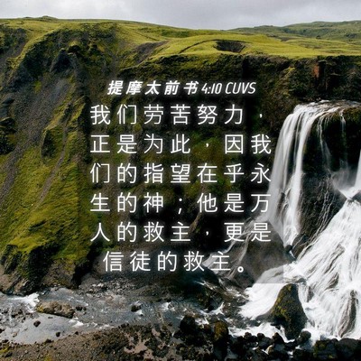 Picture 04 - 提 摩 太 前 书 4:10 CUVS - 我 们 劳 苦 努 力 ， 正 是 为 此 ， - Bible Verse Picture