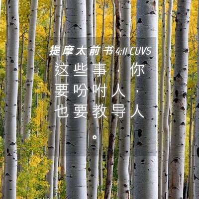 Picture 04 - 提 摩 太 前 书 4:11 CUVS - 这 些 事 ， 你 要 吩 咐 人 ， 也 要 - Bible Verse Picture