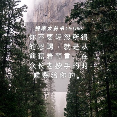 Picture 04 - 提 摩 太 前 书 4:14 CUVS - 你 不 要 轻 忽 所 得 的 恩 赐 ， 就 - Bible Verse Picture