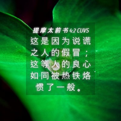 Picture 04 - 提 摩 太 前 书 4:2 CUVS - 这 是 因 为 说 谎 之 人 的 假 冒 ； - Bible Verse Picture
