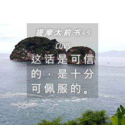 Picture 04 - 提 摩 太 前 书 4:9 CUVS - 这 话 是 可 信 的 ， 是 十 分 可 佩 - Bible Verse Picture