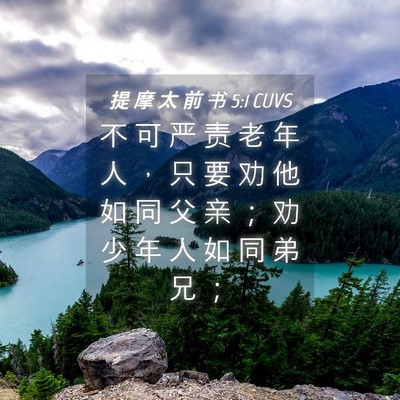 Picture 04 - 提 摩 太 前 书 5:1 CUVS - 不 可 严 责 老 年 人 ， 只 要 劝 他 - Bible Verse Picture