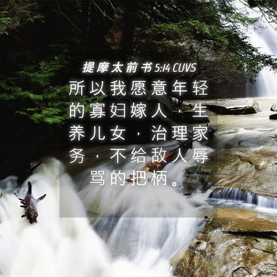 Picture 04 - 提 摩 太 前 书 5:14 CUVS - 所 以 我 愿 意 年 轻 的 寡 妇 嫁 人 - Bible Verse Picture
