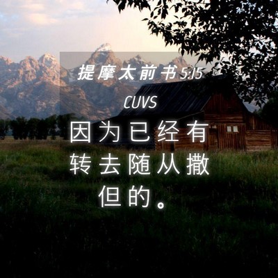 Picture 04 - 提 摩 太 前 书 5:15 CUVS - 因 为 已 经 有 转 去 随 从 撒 但 的 - Bible Verse Picture