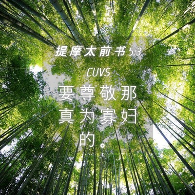 Picture 04 - 提 摩 太 前 书 5:3 CUVS - 要 尊 敬 那 真 为 寡 妇 的 - Bible Verse Picture