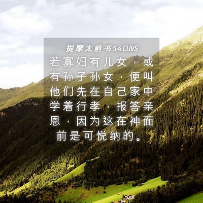 Picture 04 - 提 摩 太 前 书 5:4 CUVS - 若 寡 妇 有 儿 女 ， 或 有 孙 子 孙 - Bible Verse Picture