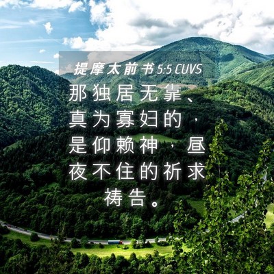 Picture 04 - 提 摩 太 前 书 5:5 CUVS - 那 独 居 无 靠 、 真 为 寡 妇 的 ， - Bible Verse Picture