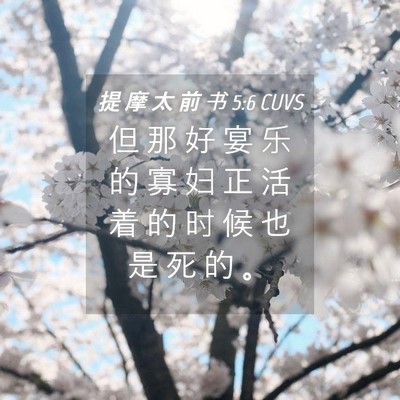 Picture 04 - 提 摩 太 前 书 5:6 CUVS - 但 那 好 宴 乐 的 寡 妇 正 活 着 的 - Bible Verse Picture