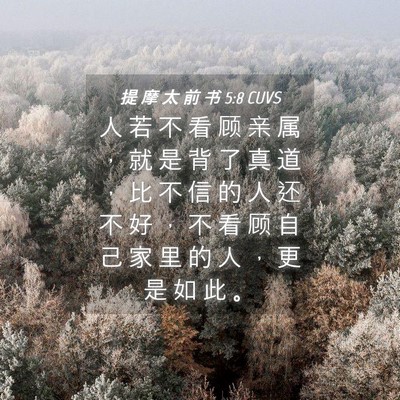 Picture 04 - 提 摩 太 前 书 5:8 CUVS - 人 若 不 看 顾 亲 属 ， 就 是 背 了 - Bible Verse Picture