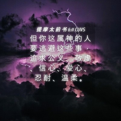 Picture 04 - 提 摩 太 前 书 6:11 CUVS - 但 你 这 属 神 的 人 要 逃 避 这 些 - Bible Verse Picture