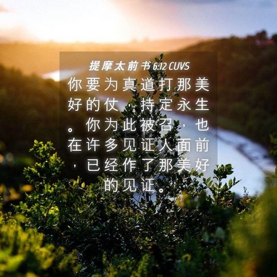 Picture 04 - 提 摩 太 前 书 6:12 CUVS - 你 要 为 真 道 打 那 美 好 的 仗 ， - Bible Verse Picture