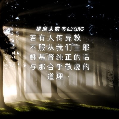 Picture 04 - 提 摩 太 前 书 6:3 CUVS - 若 有 人 传 异 教 ， 不 服 从 我 们 - Bible Verse Picture