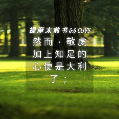 Picture 04 - 提 摩 太 前 书 6:6 CUVS - 然 而 ， 敬 虔 加 上 知 足 的 心 便 - Bible Verse Picture