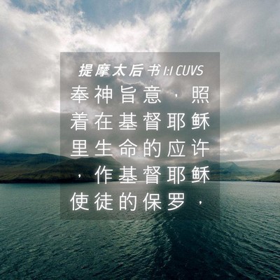 Picture 04 - 提 摩 太 后 书 1:1 CUVS - 奉 神 旨 意 ， 照 着 在 基 督 耶 稣 - Bible Verse Picture