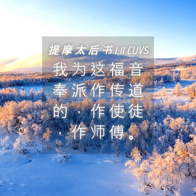 Picture 04 - 提 摩 太 后 书 1:11 CUVS - 我 为 这 福 音 奉 派 作 传 道 的 ， - Bible Verse Picture