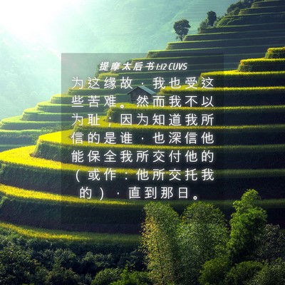 Picture 04 - 提 摩 太 后 书 1:12 CUVS - 为 这 缘 故 ， 我 也 受 这 些 苦 难 - Bible Verse Picture