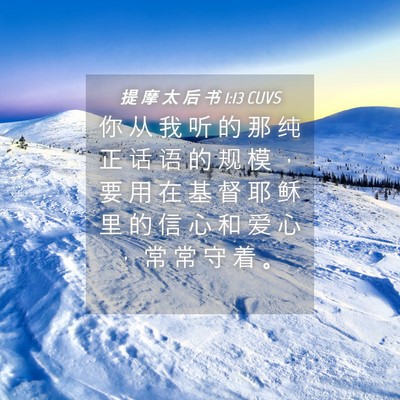 Picture 04 - 提 摩 太 后 书 1:13 CUVS - 你 从 我 听 的 那 纯 正 话 语 的 规 - Bible Verse Picture