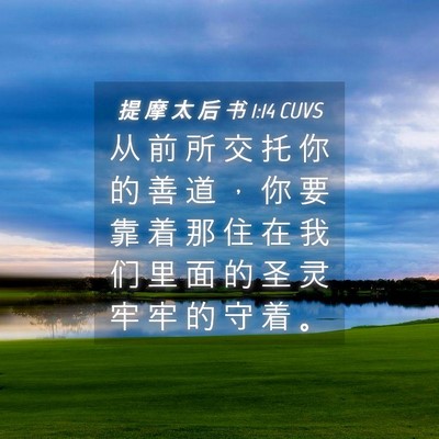 Picture 04 - 提 摩 太 后 书 1:14 CUVS - 从 前 所 交 托 你 的 善 道 ， 你 要 - Bible Verse Picture