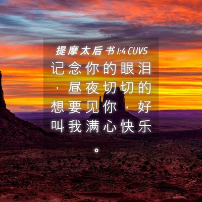 Picture 04 - 提 摩 太 后 书 1:4 CUVS - 记 念 你 的 眼 泪 ， 昼 夜 切 切 的 - Bible Verse Picture