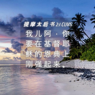 Picture 04 - 提 摩 太 后 书 2:1 CUVS - 我 儿 阿 ， 你 要 在 基 督 耶 稣 的 - Bible Verse Picture