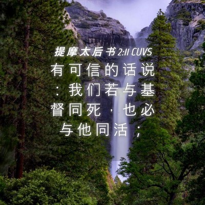 Picture 04 - 提 摩 太 后 书 2:11 CUVS - 有 可 信 的 话 说 ： 我 们 若 与 基 - Bible Verse Picture