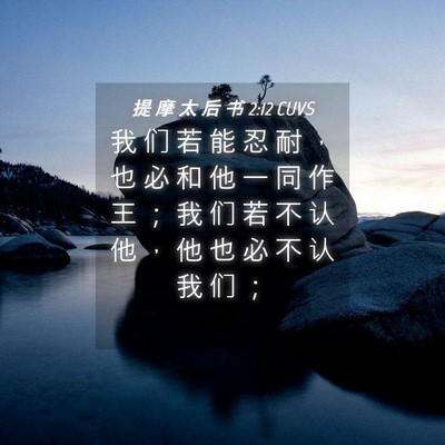 Picture 04 - 提 摩 太 后 书 2:12 CUVS - 我 们 若 能 忍 耐 ， 也 必 和 他 一 - Bible Verse Picture