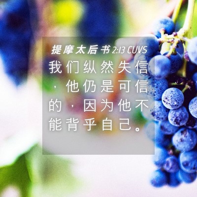 Picture 04 - 提 摩 太 后 书 2:13 CUVS - 我 们 纵 然 失 信 ， 他 仍 是 可 信 - Bible Verse Picture
