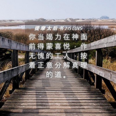 Picture 04 - 提 摩 太 后 书 2:15 CUVS - 你 当 竭 力 在 神 面 前 得 蒙 喜 悦 - Bible Verse Picture