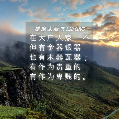 Picture 04 - 提 摩 太 后 书 2:20 CUVS - 在 大 户 人 家 ， 不 但 有 金 器 银 - Bible Verse Picture