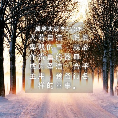 Picture 04 - 提 摩 太 后 书 2:21 CUVS - 人 若 自 洁 ， 脱 离 卑 贱 的 事 ， - Bible Verse Picture
