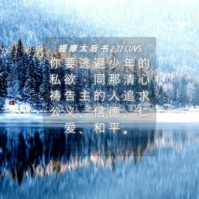 Picture 04 - 提 摩 太 后 书 2:22 CUVS - 你 要 逃 避 少 年 的 私 欲 ， 同 那 - Bible Verse Picture