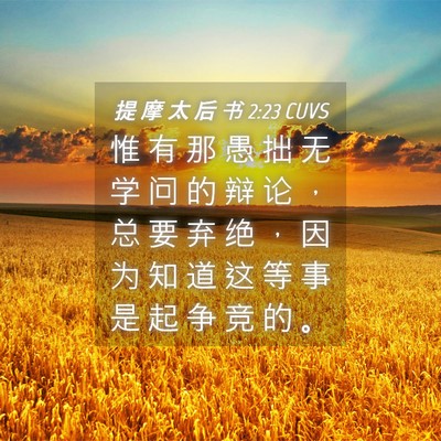 Picture 04 - 提 摩 太 后 书 2:23 CUVS - 惟 有 那 愚 拙 无 学 问 的 辩 论 ， - Bible Verse Picture