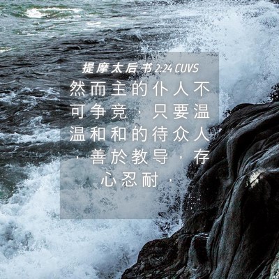Picture 04 - 提 摩 太 后 书 2:24 CUVS - 然 而 主 的 仆 人 不 可 争 竞 ， 只 - Bible Verse Picture