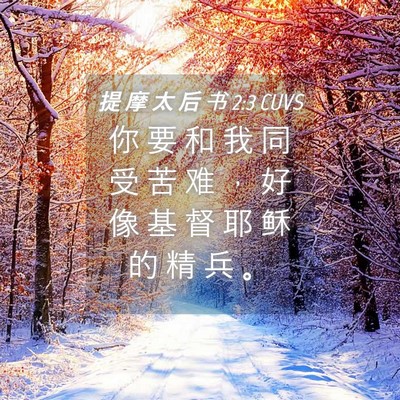 Picture 04 - 提 摩 太 后 书 2:3 CUVS - 你 要 和 我 同 受 苦 难 ， 好 像 基 - Bible Verse Picture