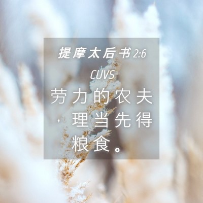 Picture 04 - 提 摩 太 后 书 2:6 CUVS - 劳 力 的 农 夫 ， 理 当 先 得 粮 食 - Bible Verse Picture