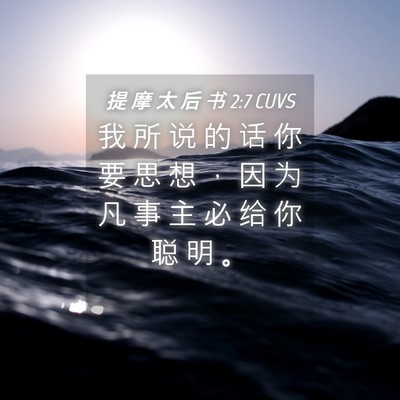 Picture 04 - 提 摩 太 后 书 2:7 CUVS - 我 所 说 的 话 你 要 思 想 ， 因 为 - Bible Verse Picture
