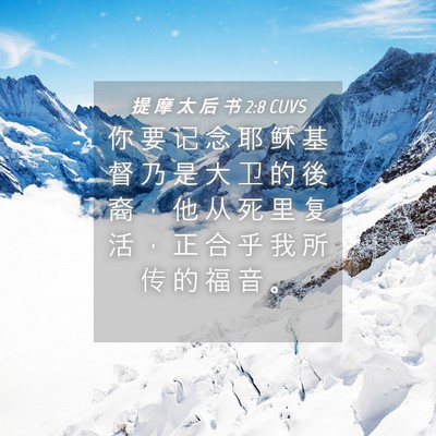 Picture 04 - 提 摩 太 后 书 2:8 CUVS - 你 要 记 念 耶 稣 基 督 乃 是 大 卫 - Bible Verse Picture