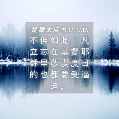 Picture 04 - 提 摩 太 后 书 3:12 CUVS - 不 但 如 此 ， 凡 立 志 在 基 督 耶 - Bible Verse Picture
